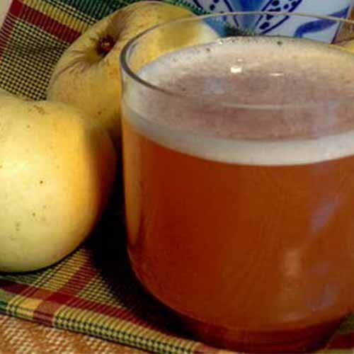 вкусный яблочный квас в домашних условиях из яблочного сока