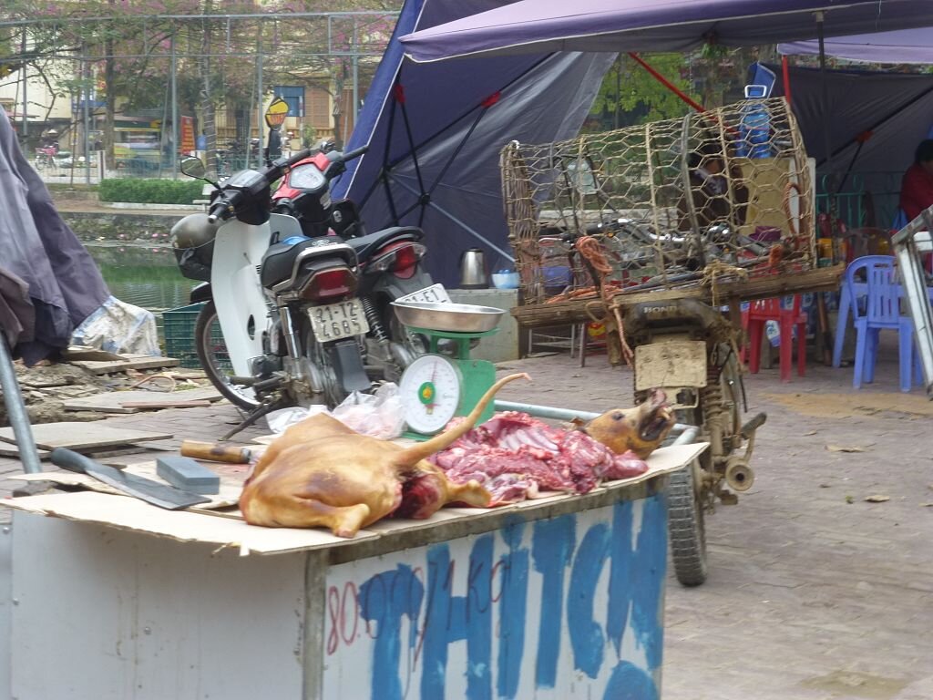 Продажа собачьего мяса во Вьетнаме.