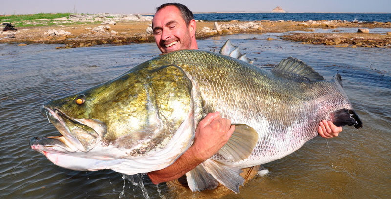 А знаешь на кого похоже?На твою будущею тёщу.Теперь живи с этим.