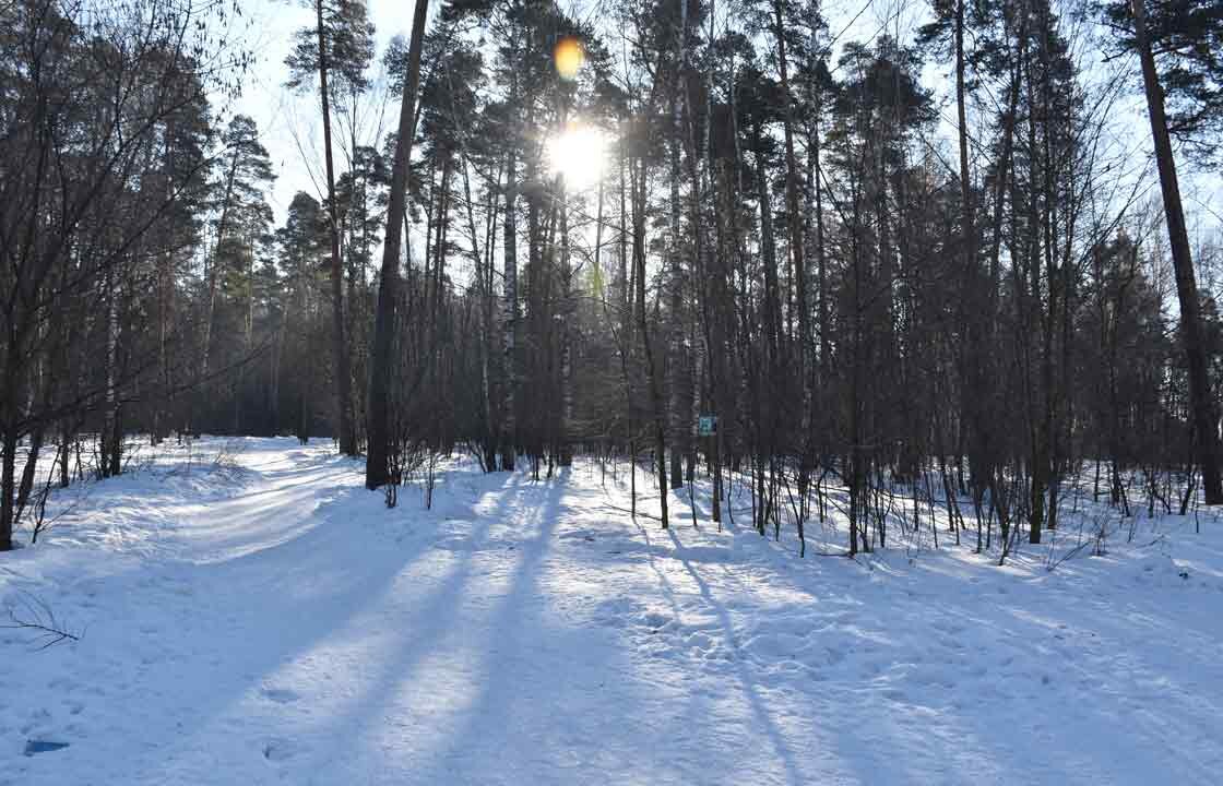 Ещё зимний лес поистине прекрасен