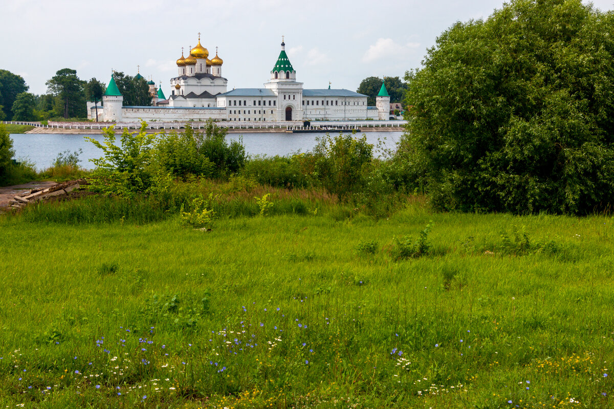 Лето в костроме было