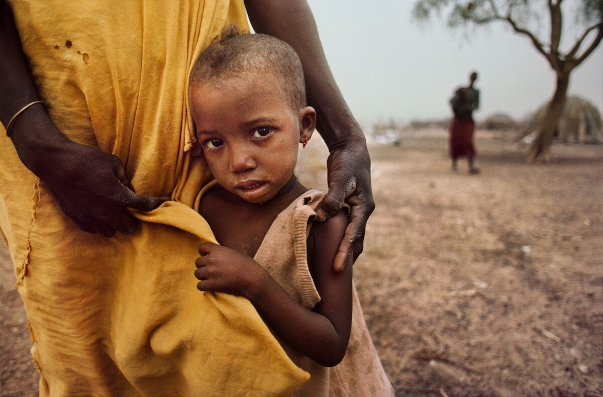 Стив Маккари