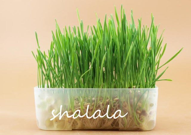  Сылка на товар    http://ali.pub/385sgp.