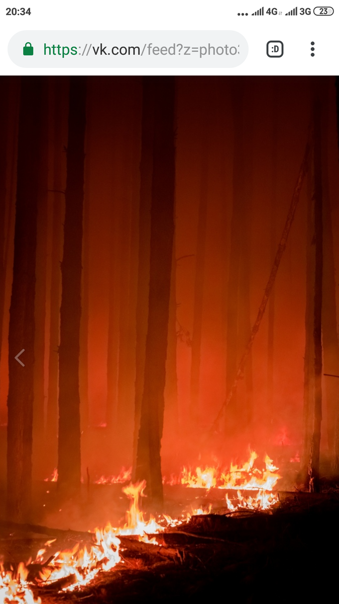 В лесу огонь распространяется моментально