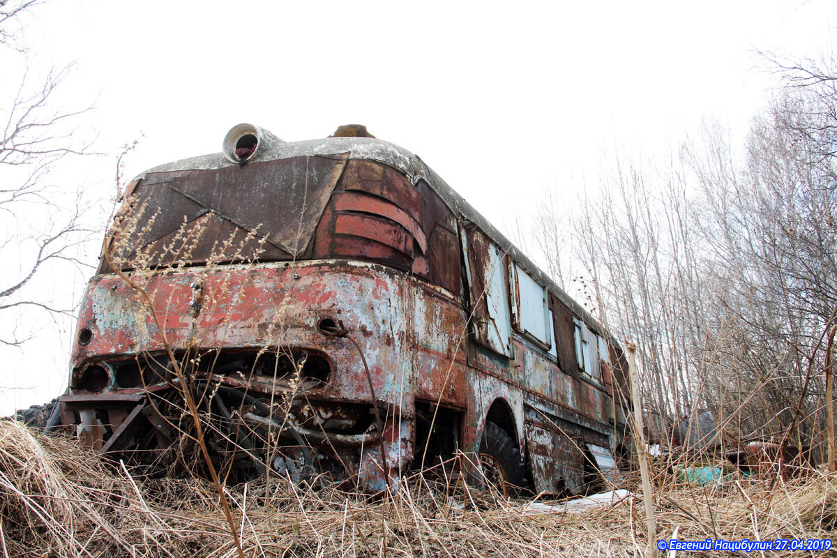 В Кемеровской области нашли очень редкий Ikarus 55.14 Lux, простоявший под  открытым небом 20 лет | Все о грузовиках – Trucksplanet | Дзен