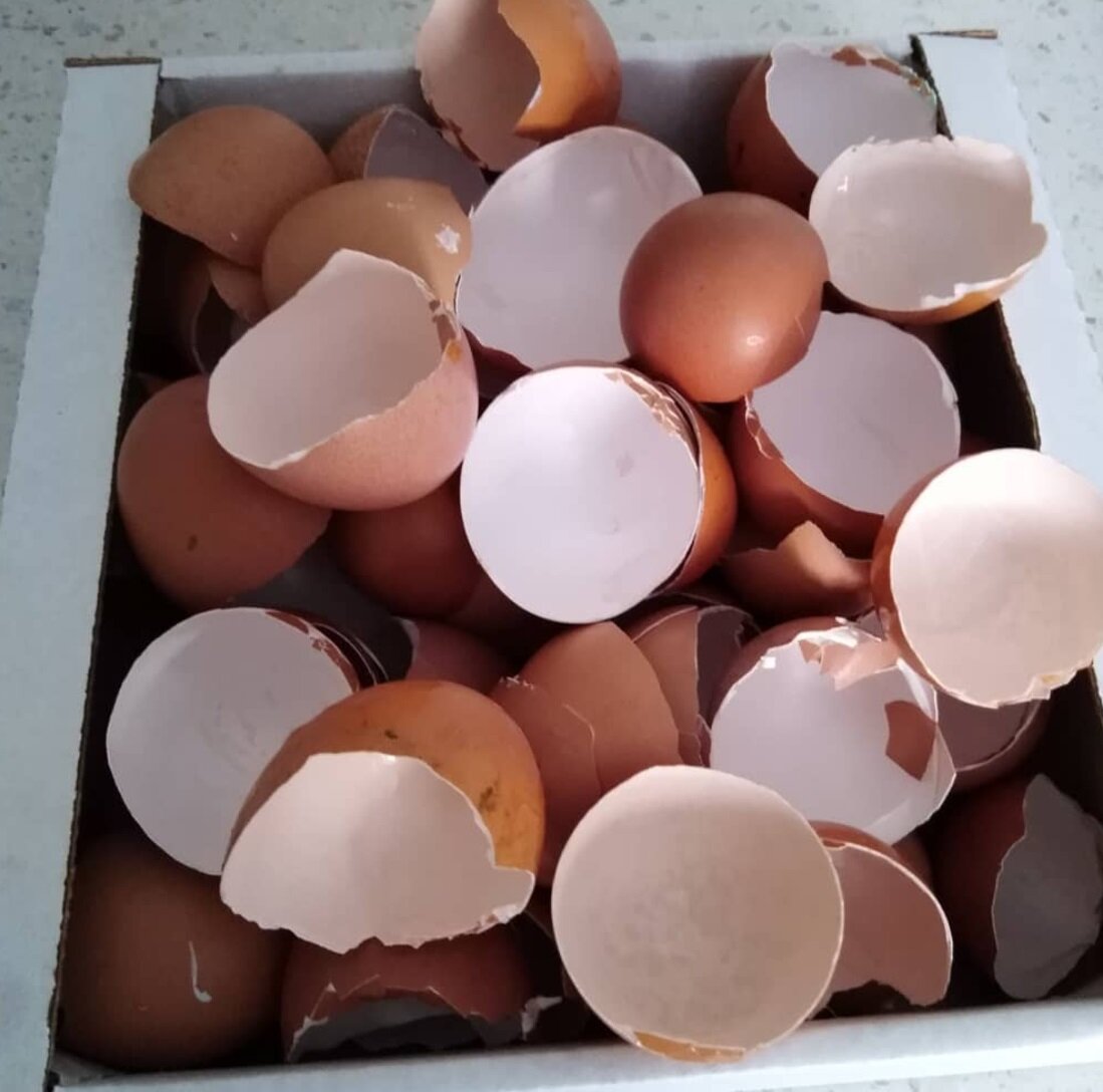 Я активно собирала скорлупу, конечно этого количества предостаточно. Но в состоянии шока, мне казалось, что нужно больше😁