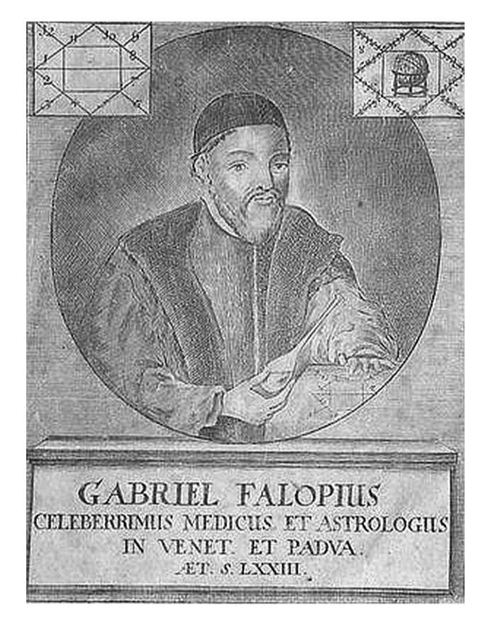 Габриэле Фаллопио (1523–1562), чье имя увековечено в названии открытых им маточных труб («фаллопиевы трубы»)