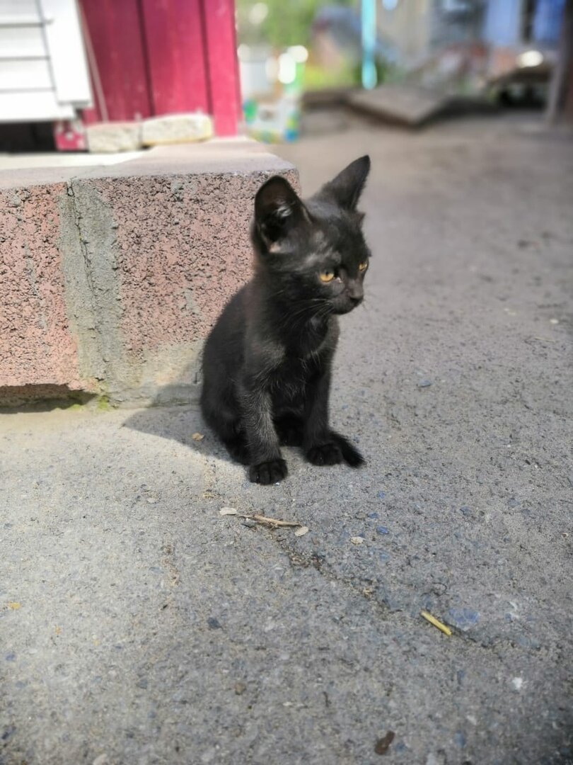 Когда устал уже с самого утра))