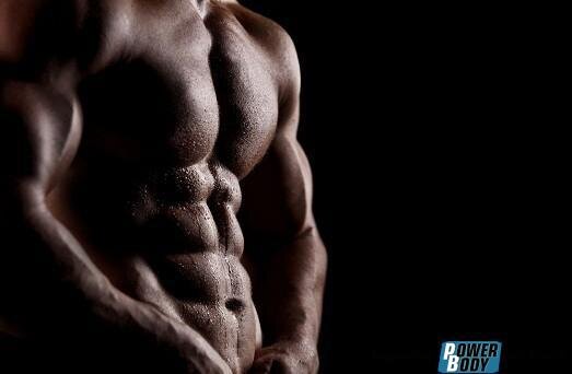 Dynatrope Dynamic Dev. Lab ��������: ����.