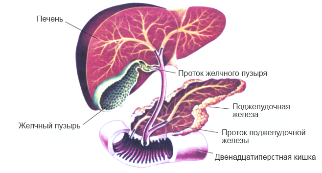 Изображение из открытого источника.