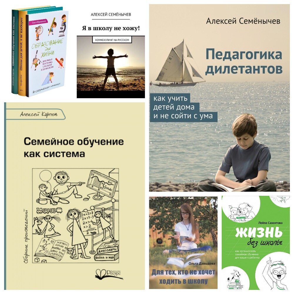 7 КНИГ ПРО СЕМЕЙНОЕ ОБРАЗОВАНИЕ ОТ ТЕХ, КТО ЗНАКОМ С НИМ НА ПРАКТИКЕ |  ПРИВЕТ, РОДИТЕЛЬ! | Дзен