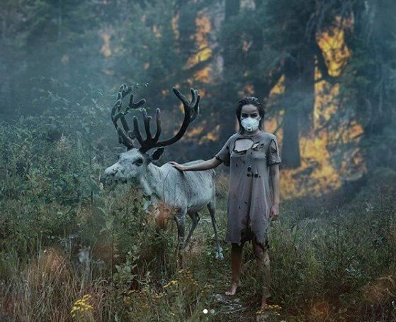 Источник фото: Яндекс. Картинки 