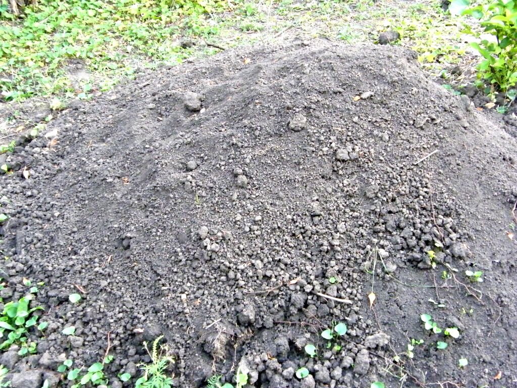 Почвенные агрегаты. Комковатая структура почвы. Агрегаты грунта. Почвенные агрегаты. Зернистая почва.