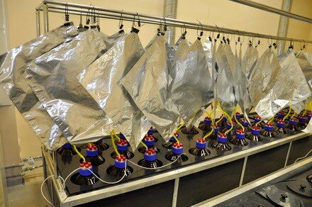 Ферментатор 