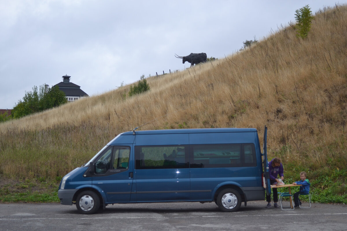 Перетяжка Салона Автомобиля Кожей 🚐BusMaster (Бердичев)