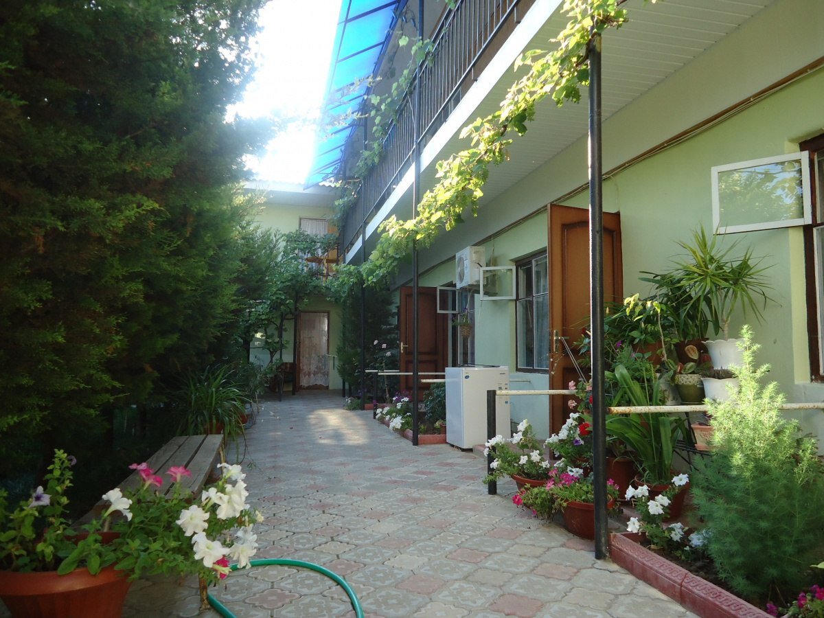 Фото взято из публичного доступа.