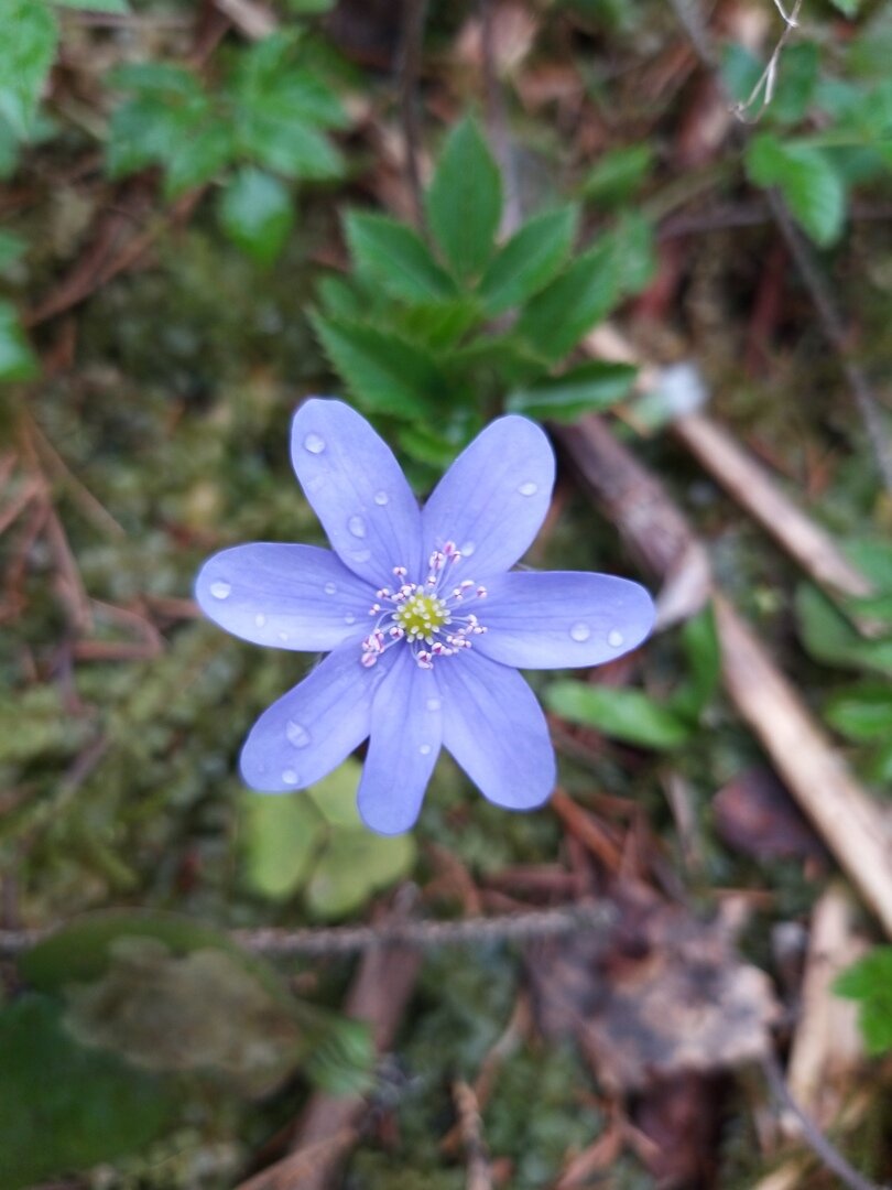                                                                                                  Фото автора статьи