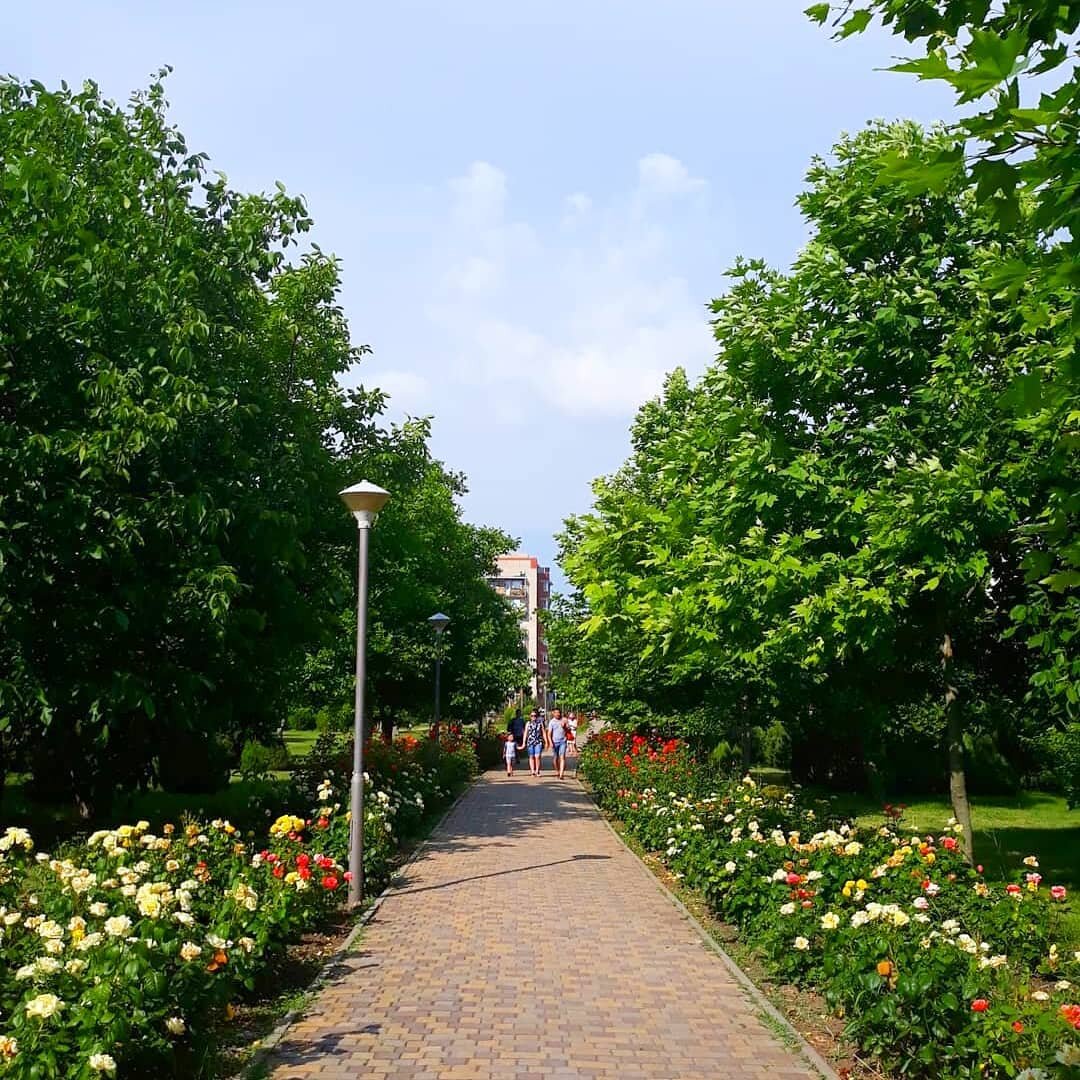 Аллея роз анапа фото Лучшие места Анапы. Ореховая роща Анапское Черноморье Дзен