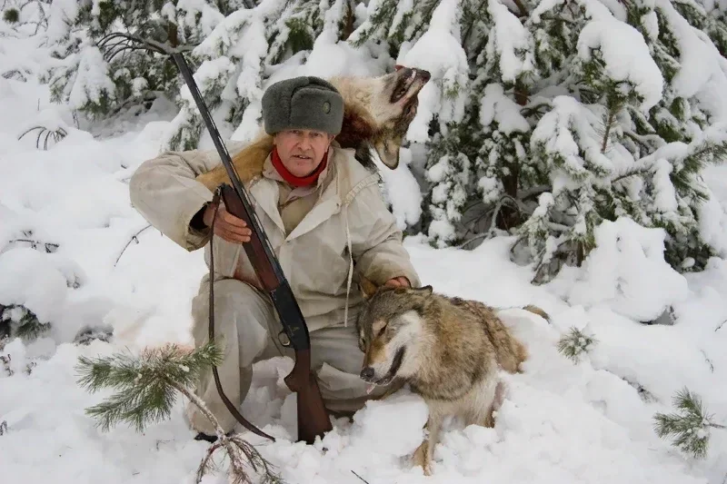 Охота промо. Охота на волка 2022 фильм. Охота на волка в Сибири Красноярск. Охотник зимой. Охотник зимой в лесу.