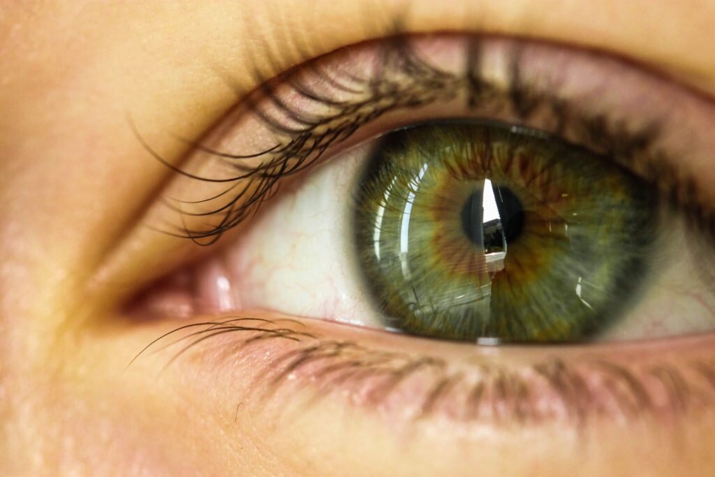 Интересные факты о людях имеющих зелёный цвет глаз! — Журнал Reaction на grantafl.ru