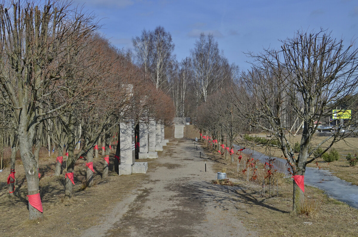 Аллея Дружбы