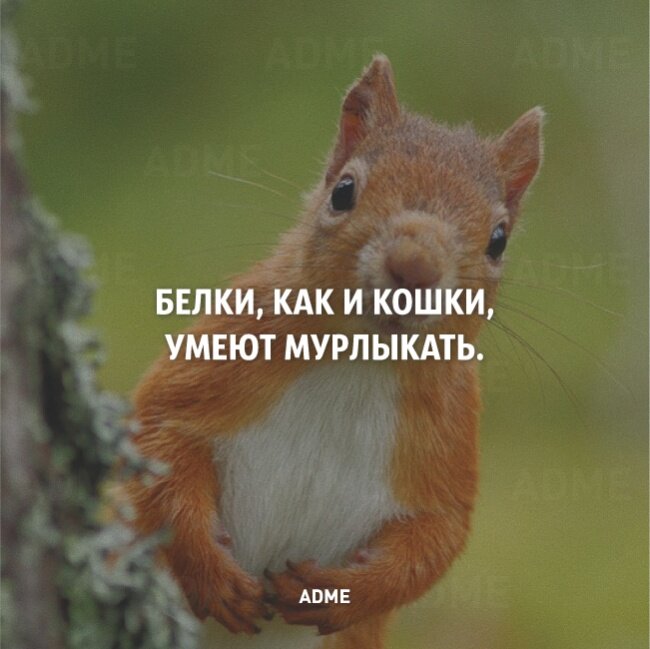 Интересно знать