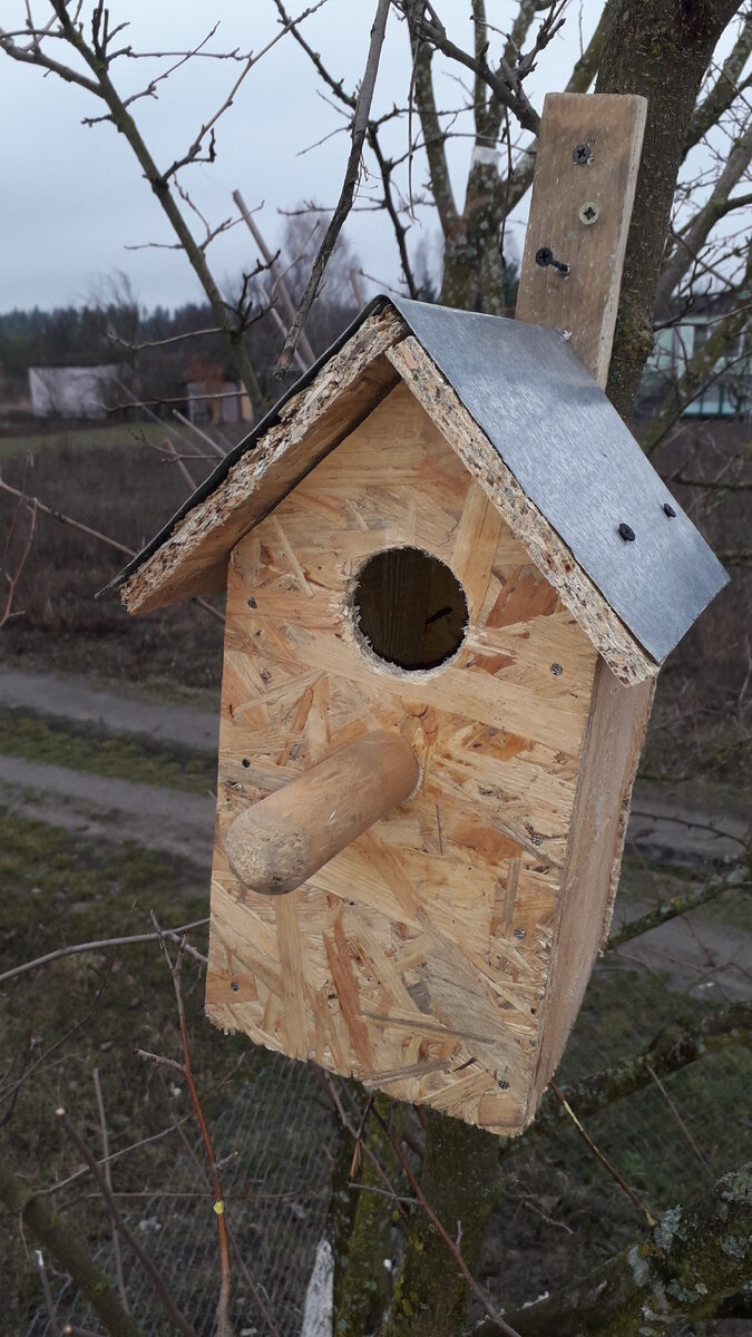 Скворечник своими руками из дерева: чертежи, материалы, декор и установка