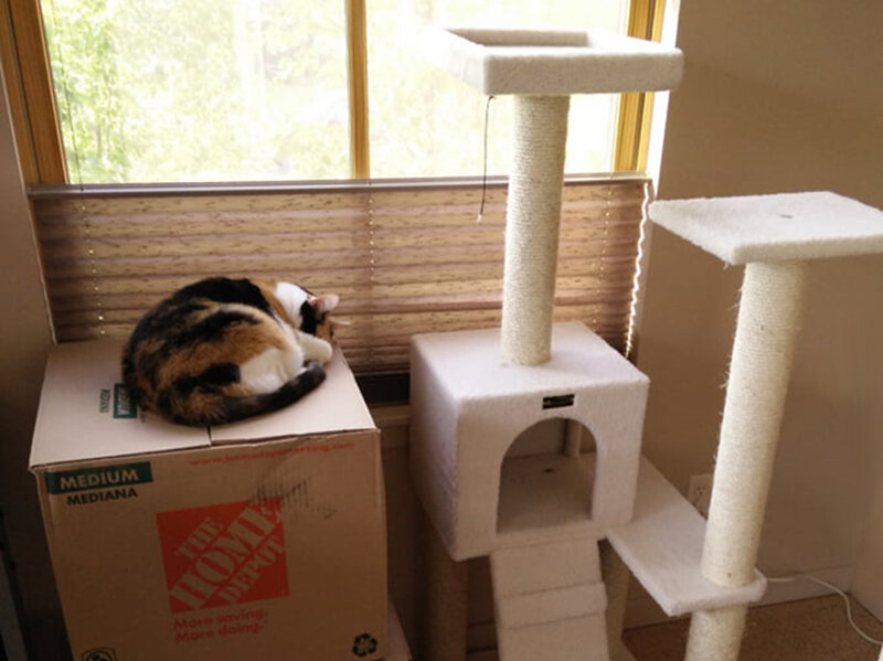 Как сделать домик для кошки из подручных материалов