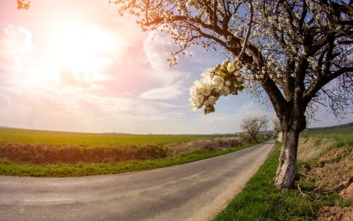  Магнитные холмы