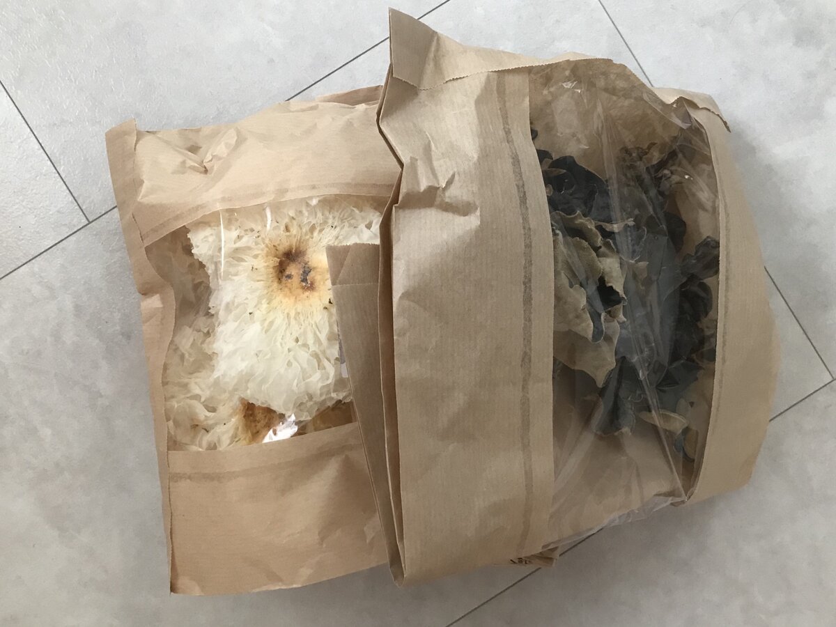 Слева ледяной гриб, справа древесный гриб моэр 