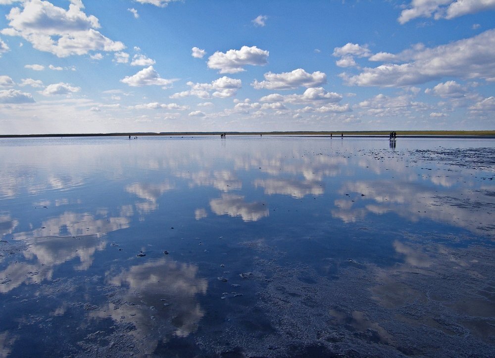 Цены озеро медвежье в курганской области