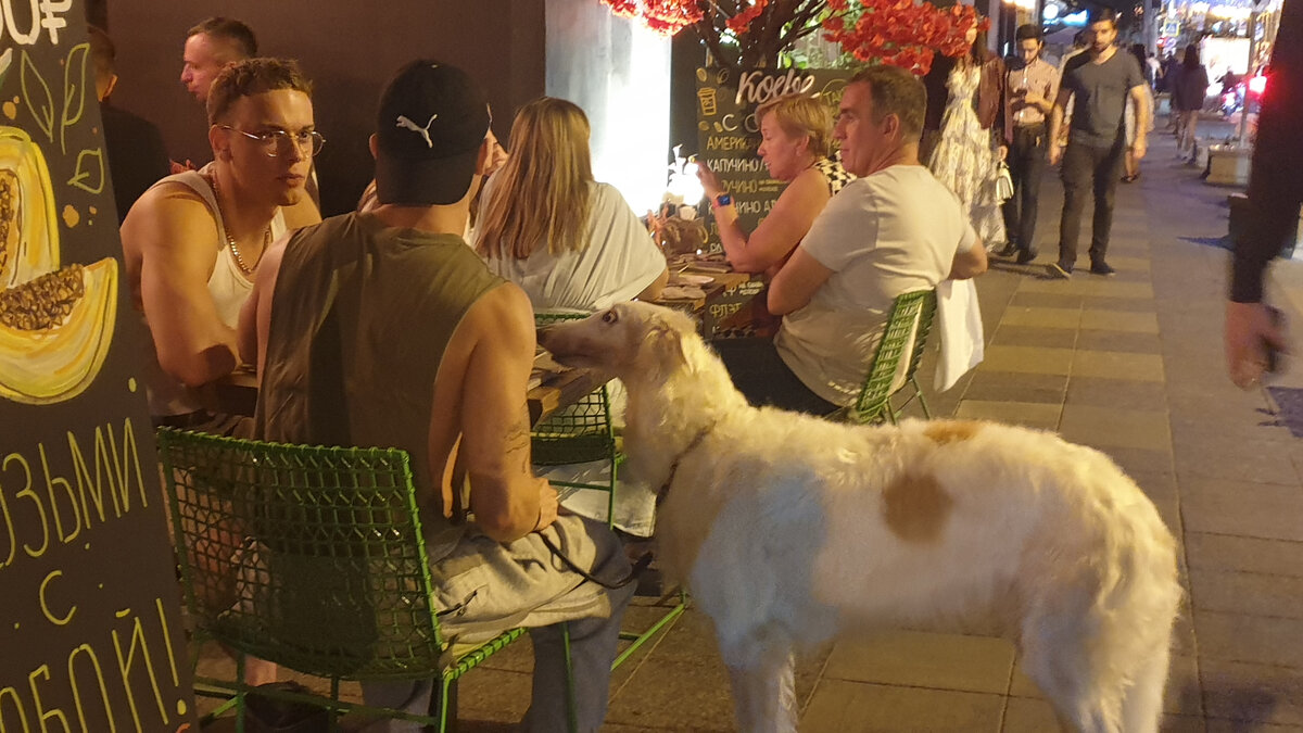 Москва, Летнее кафе (авторское фото, лето 2021г.)