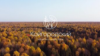 Национальный парк Койгородский, Республика Коми