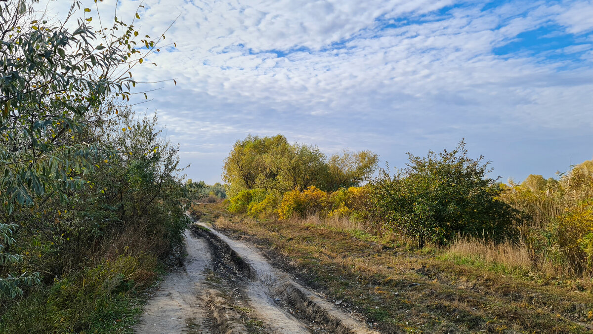 Дорога дорога...