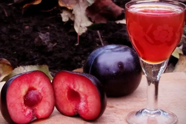 Наливка из слив 