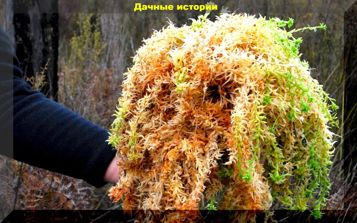 https://vk.com/photo-159774511_457249959