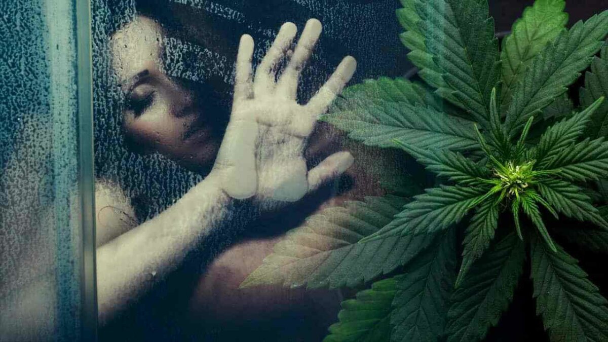 Ученые выяснили, как марихуана влияет на секс – Люкс ФМ