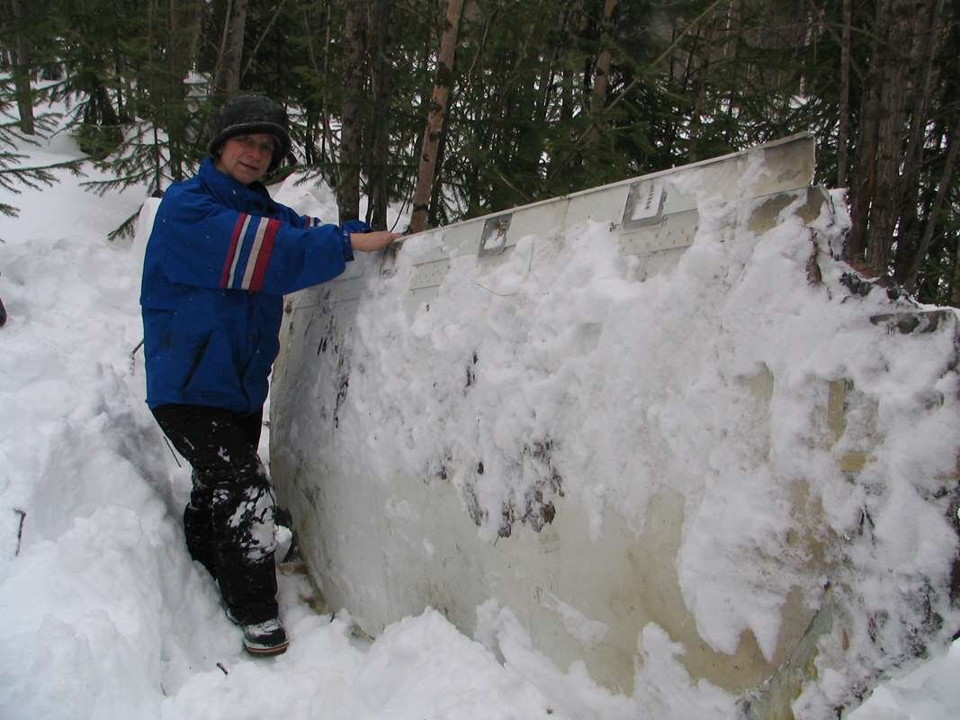 Крупные фрагменты в тайге