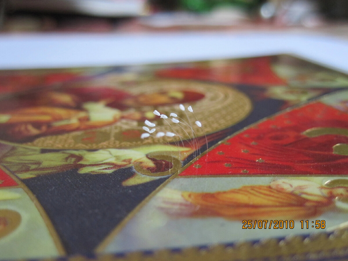 Наша иконе "Неопалимая Купина" в тюльпанчиках. Фото автора. 