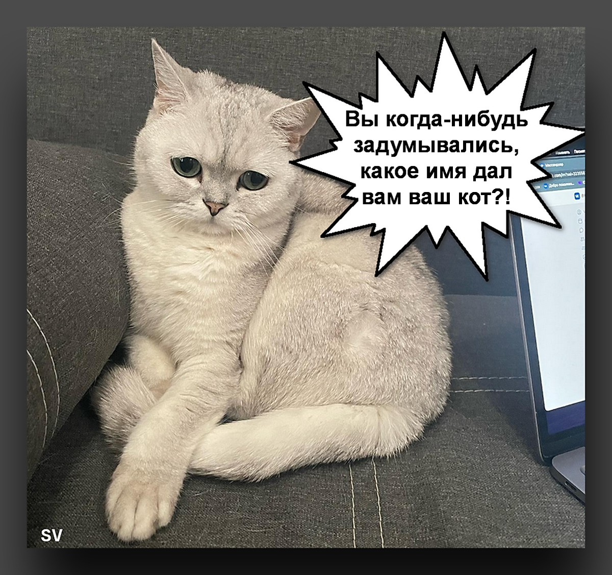 Фото автора публикации