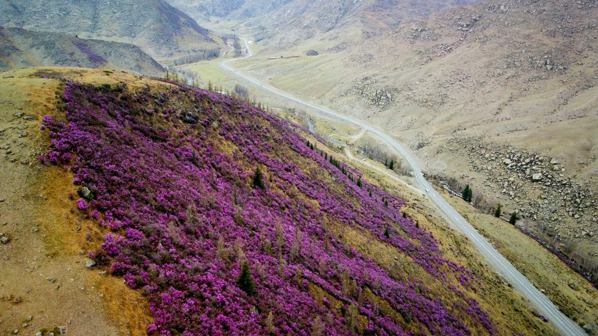 Маральник. Аэросъемка: Алексей Исаев