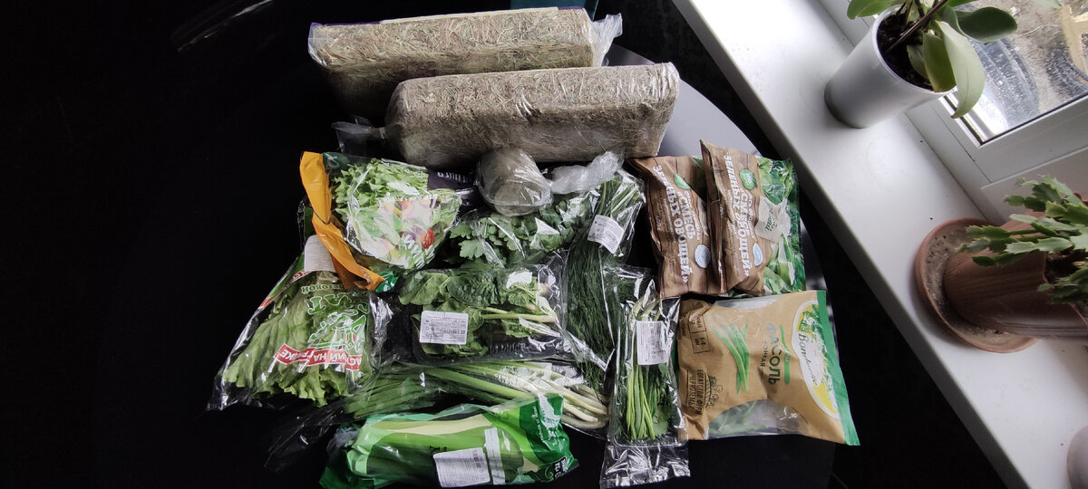 Вот так выглядит стандартная закупка в магазине. Только обычно без сена. Сено из ашана было экспериментом, и оно мне категорически не понравилось. 