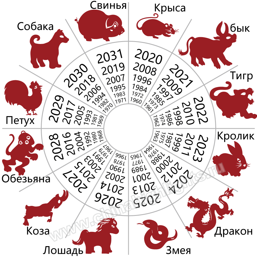 Китайский календарь начинается. Календарь животных. Восточный календарь. Каковы животного 2022 год. Календарь животные.