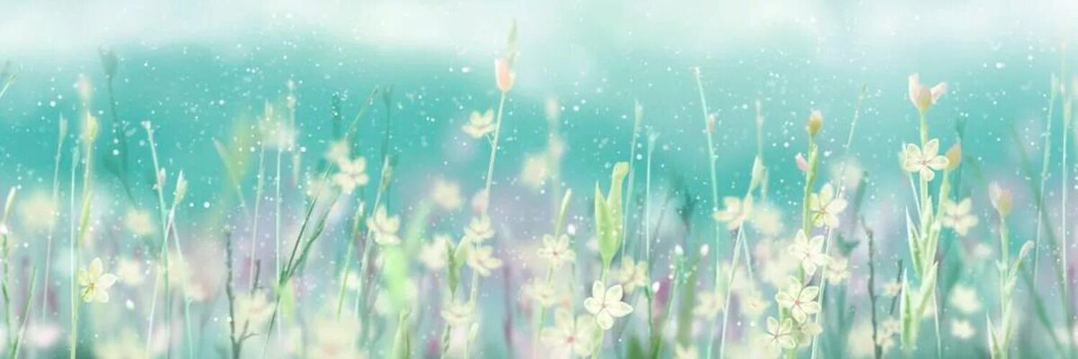 Яндекс картинки 