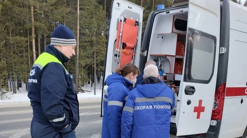    Мужчину придавило деревом при валке леса в Югре