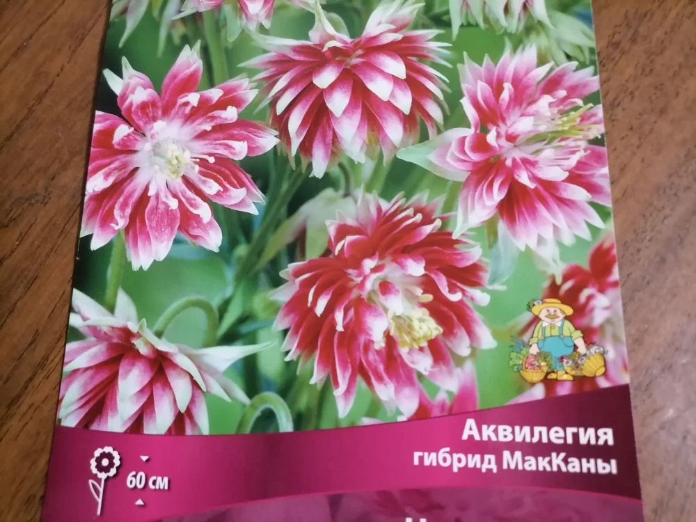 Упаковка корешка аквилегии