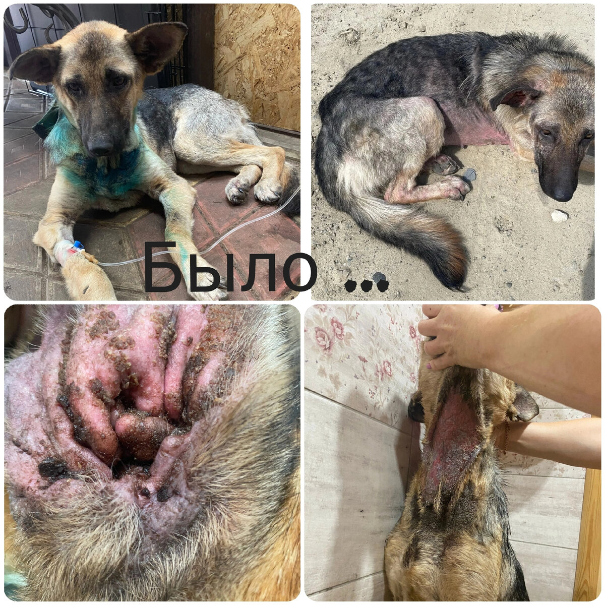 Напоминаю как выглядела Герда