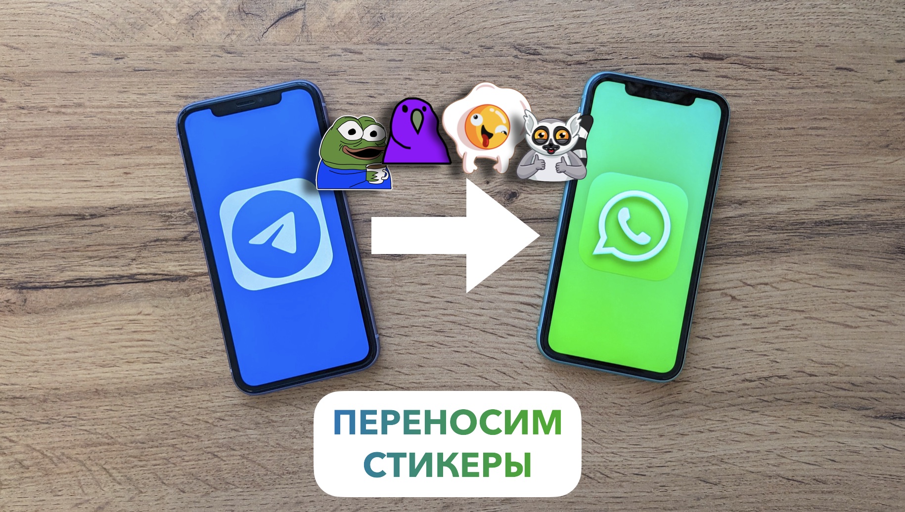 ⚡️ Как в WhatsApp ДОБАВИТЬ СТИКЕРЫ из Telegram на Android. Три минуты — и  готово!