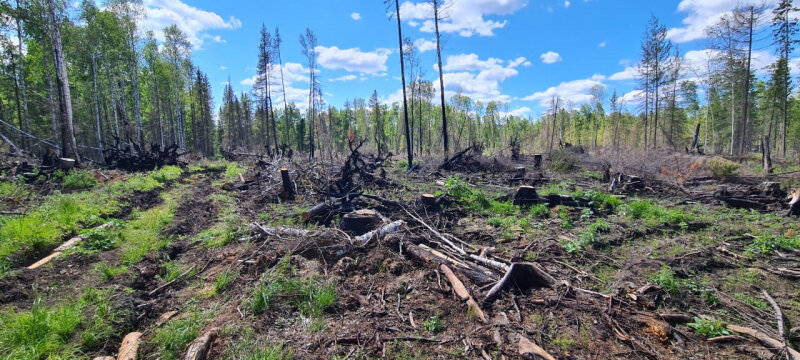 ФОТО: ПРЕСС-СЛУЖБА ГУ МВД РОССИИ ПО ЧЕЛЯБИНСКОЙ ОБЛАСТИ.
