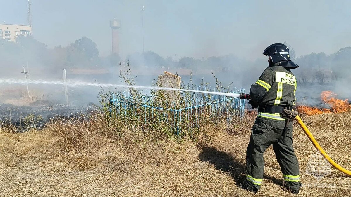  За минувшие сутки спасателями МЧС Херсонской области ликвидировано 24 возгорания - Таврия ТВ - Херсон